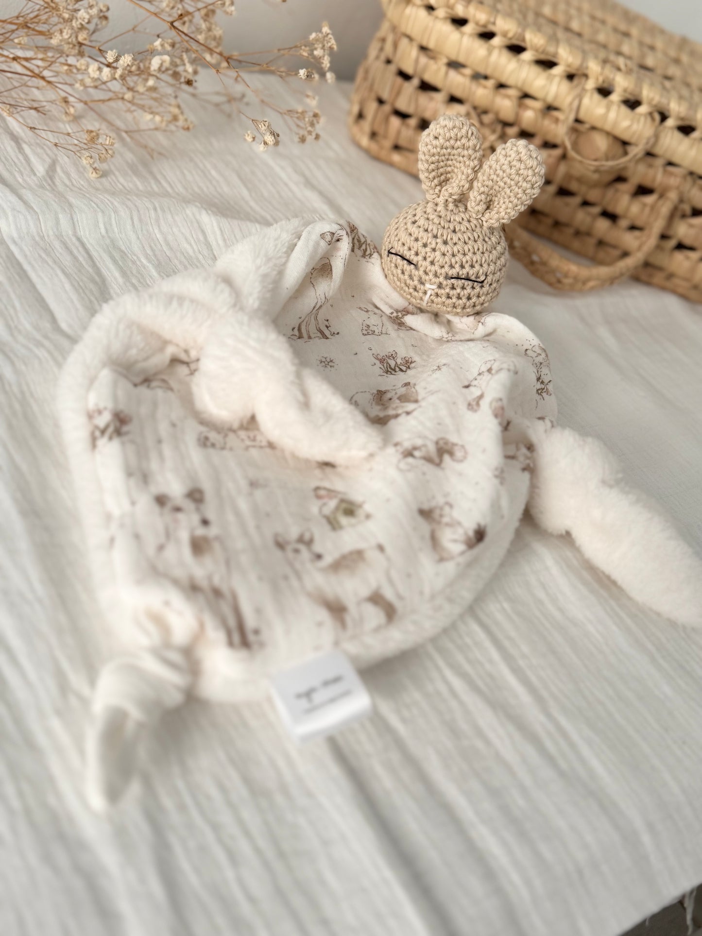 Douceur de lapin